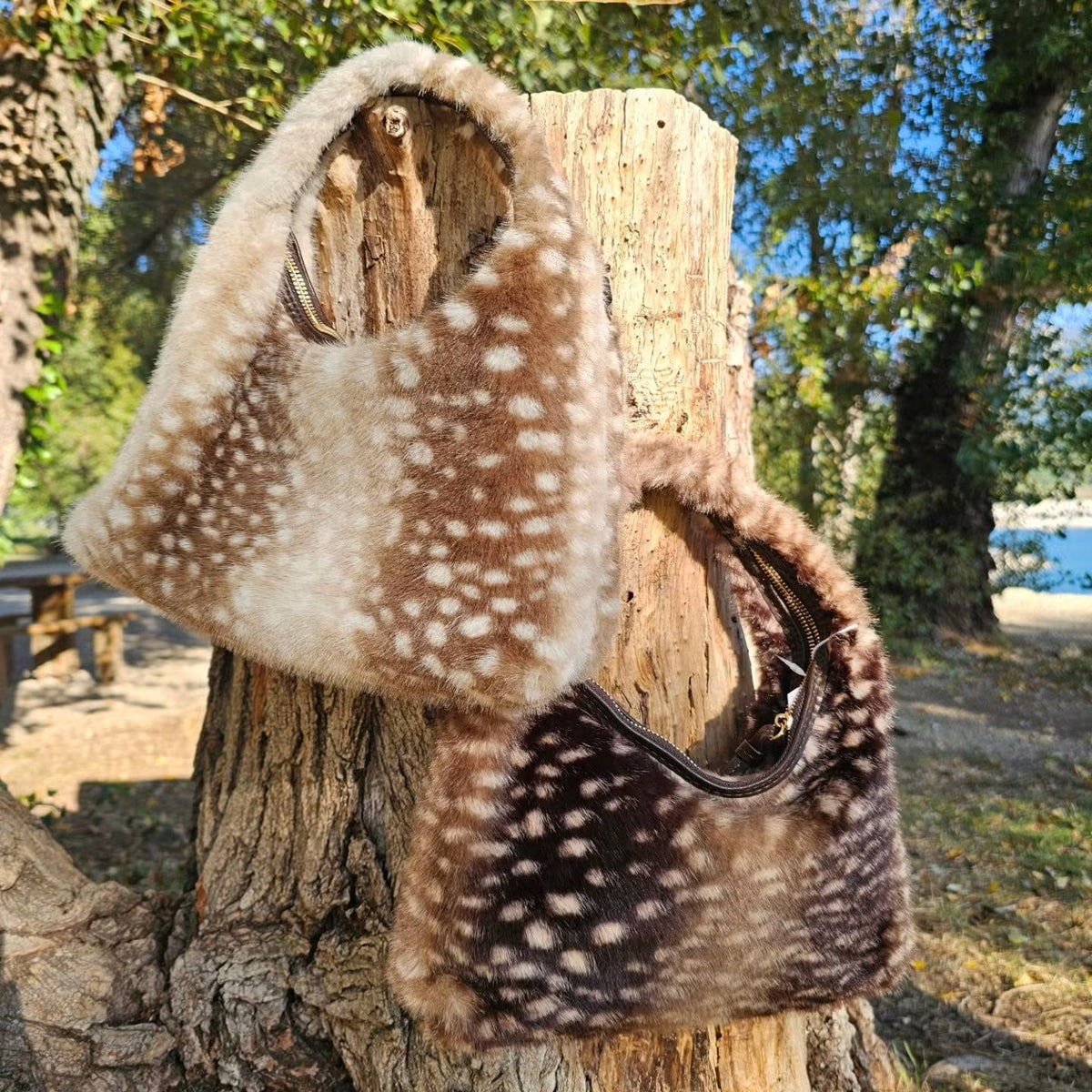 SACS