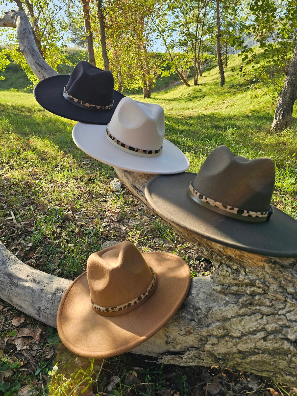 Accessoires pour cheveux